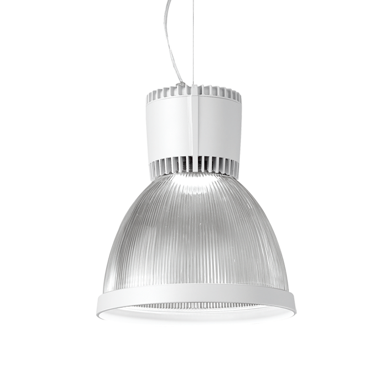 DP-51036.01
