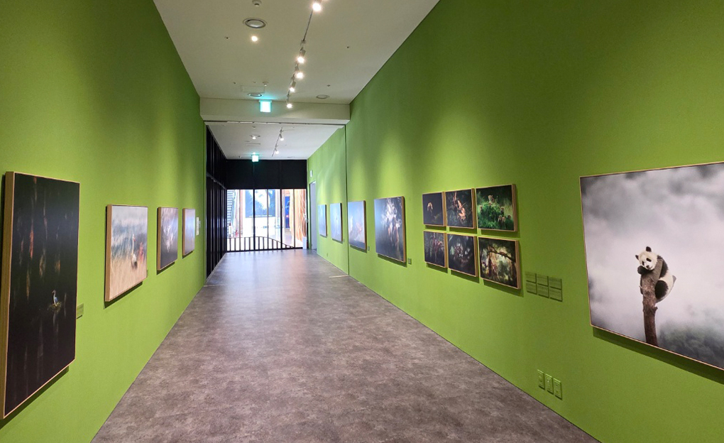 Chungmu Art Center